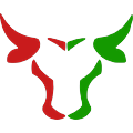 Team Bull